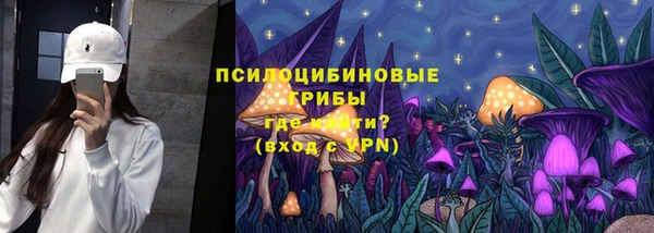 ешки Алексеевка